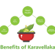 Illustration for article titled Get Relief With The Karavellaka Ayurvedic Herb
